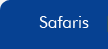 Safaris / Wild Life
