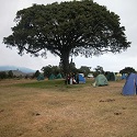 Kambini (Camping) Itinerary, Tanzania