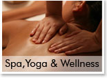 Spa,Yoga & Wellness
