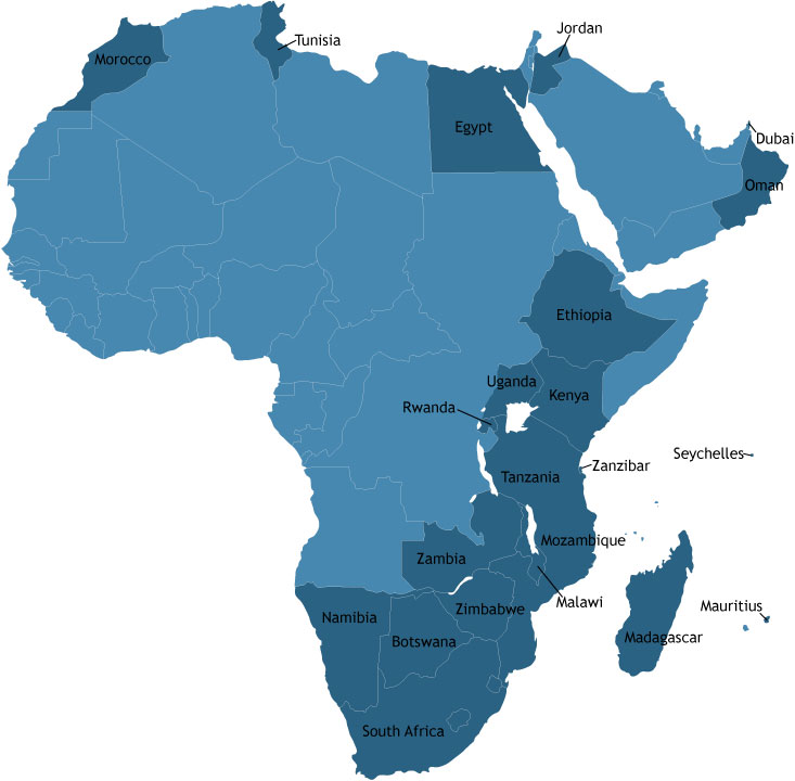 Africa & the Middle Eas