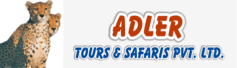 Adler tours & Safaris