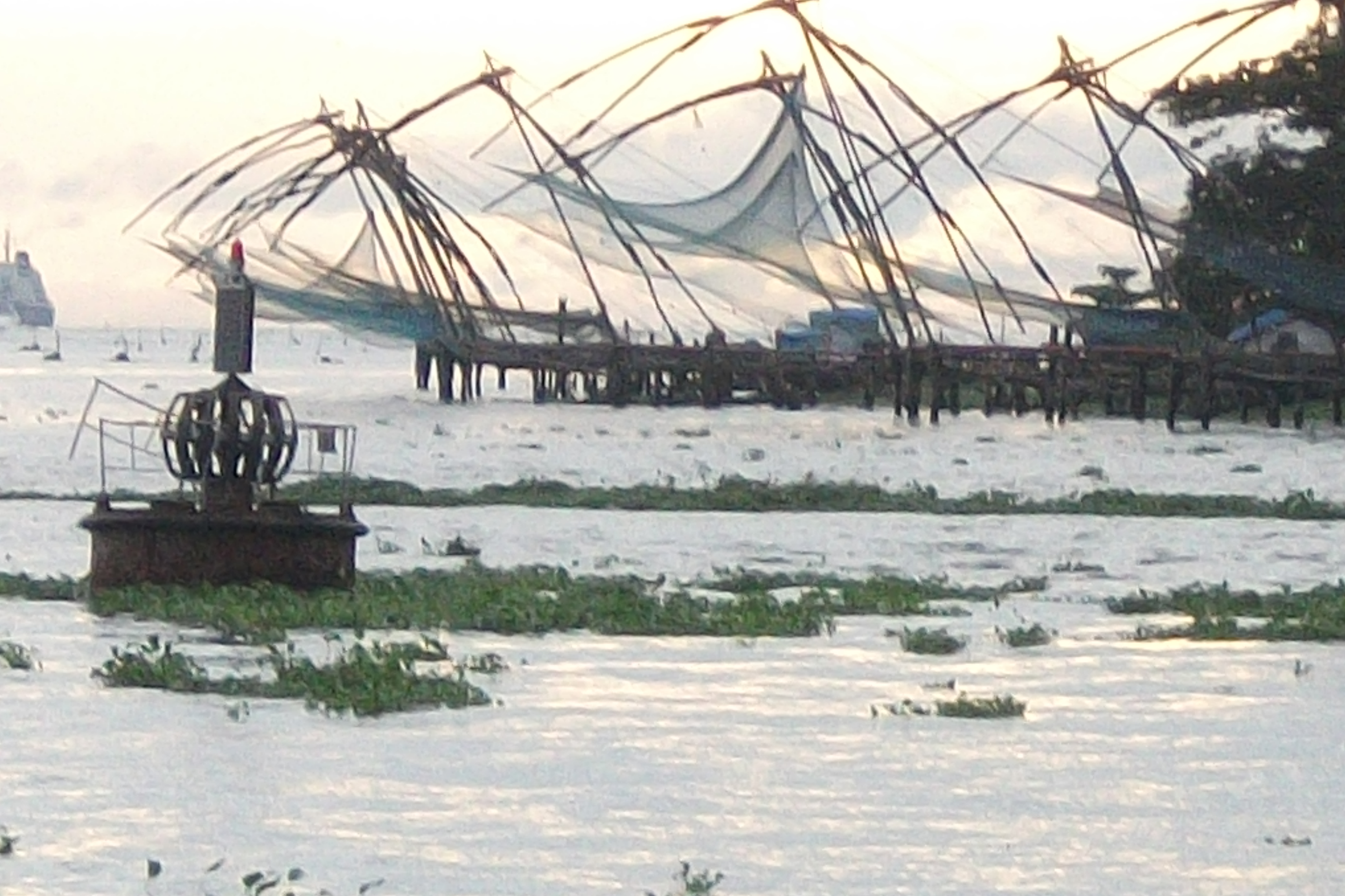 7N/8D Kerala Scenic Escape